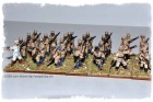 Schutztruppe Askari (All Brigade Games figures except the Copplestone Castings Officer).