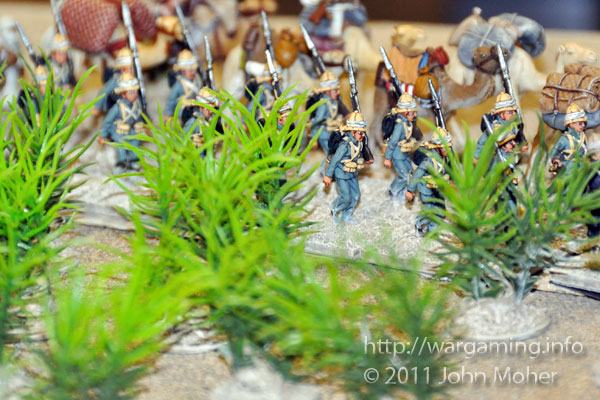 Anglo-Egyptian forces march past an 'Aquarium Thorn Thicket'.