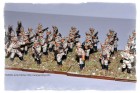And again - von Lettow-Vorbeck is at the right-front, with right hand on belt.