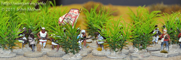 Dervish Jihadiyya fight from an 'Aquarium Thorn Thicket'! Dervish Jihadiyya fight from an 'Aquarium Thorn Thicket'!