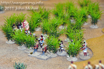 Another shot of the Jihadiyya skirmishing from the 'plastic thicket'. Another shot of the Jihadiyya skirmishing from the 'plastic thicket'.