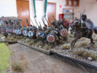 Punic Wars Roman versus Carthaginian Impetus game