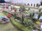Punic Wars Roman versus Carthaginian Impetus game
