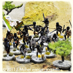 Fuzzy-Wuzzys bound along a Wadi! Fuzzy-Wuzzys bound along a Wadi!