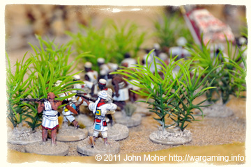 The Jihadiyya Riflemen in the Thorn Thicket The Jihadiyya Riflemen in the Thorn Thicket