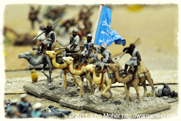 The surviving Dervish Camelry after they charged the Yorkshires The surviving Dervish Camelry after they charged the Yorkshires