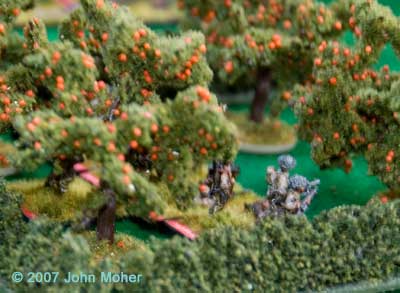 Clearing the Orchard, 2 Platoon move forward. Clearing the Orchard, 2 Platoon move forward.